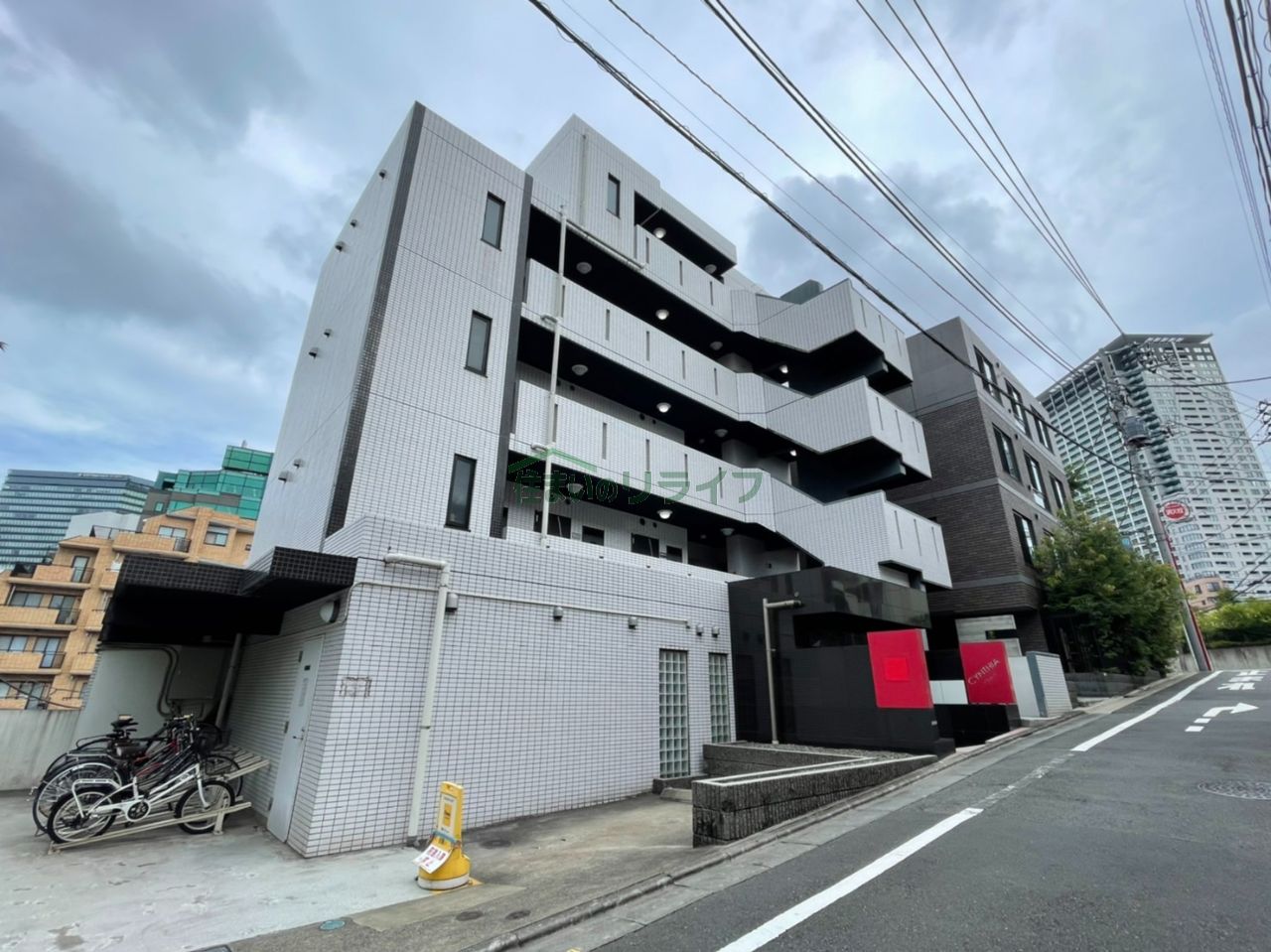 ＣＹＮＴＨＩＡ　ＦＯＵＲーＤ　ＭＥＧＵＲＯＯＨＡＳＨＩ