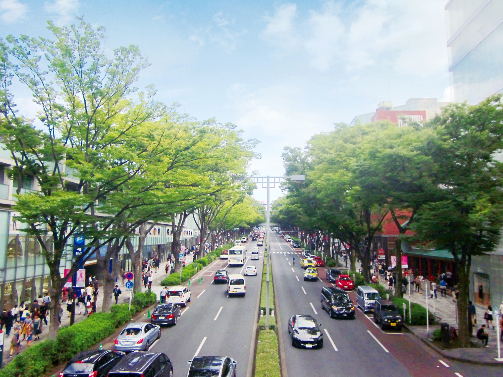 表参道駅周辺の街情報 | 住まいのリライフ